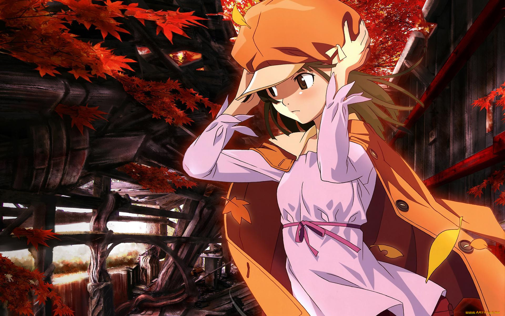 , bakemonogatari, sengoku nadeko, , , , 